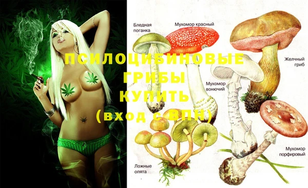 МДМА Арсеньев