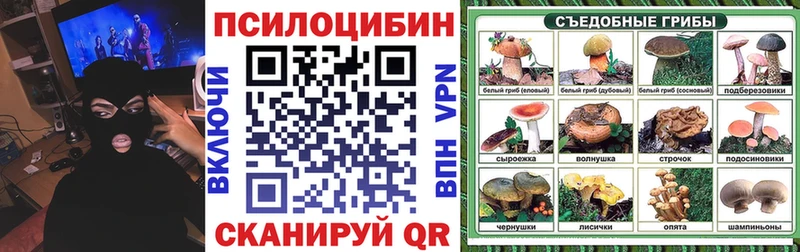 Купить закладки  Балахна  Галлюциногенные грибы Cubensis 
